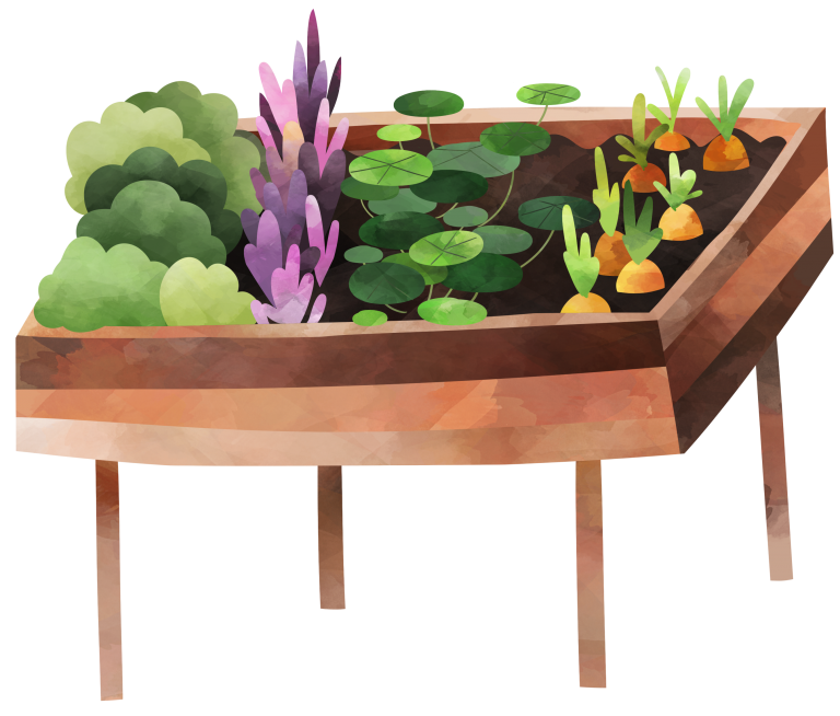 Raised garden bed image with vegetables planted in it, like carrots and greens